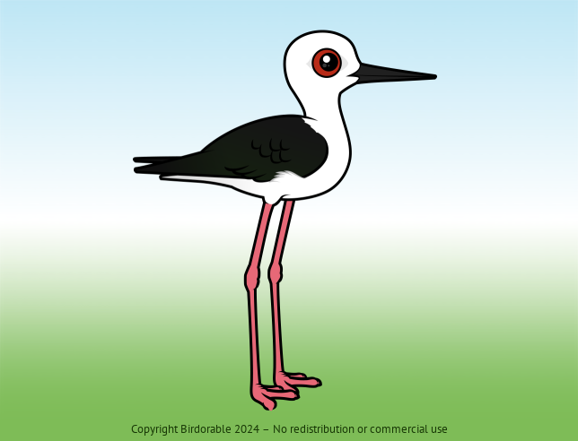 Birdorable Black-winged Stilt Female