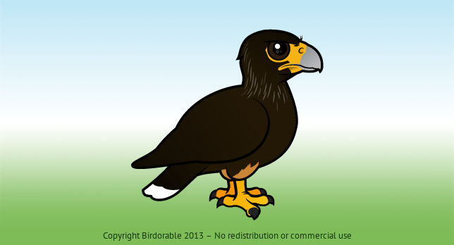 Birdorable Striated Caracara 