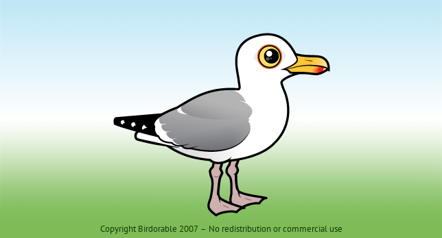 Birdorable Herring Gull 