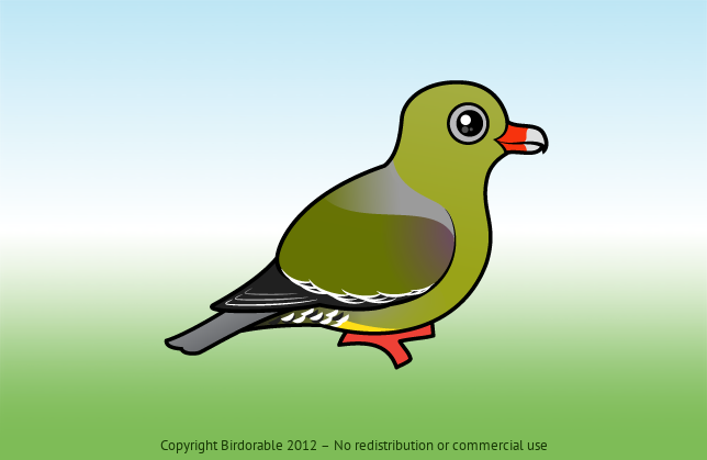 Birdorable African Green Pigeon 