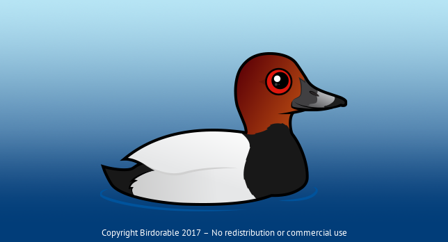 Adorable Common Pochard < Ducks & Geese < Birdorable