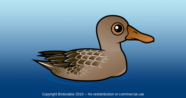 Birdorable Northern Shoveler Female