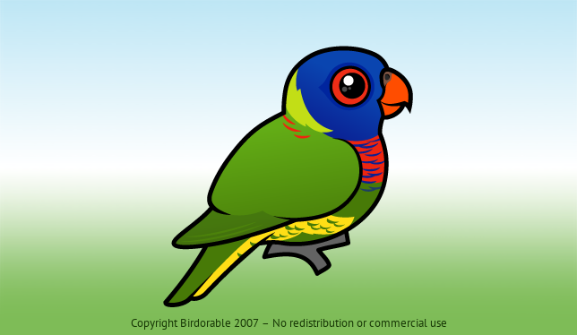 Birdorable Rainbow Lorikeet 
