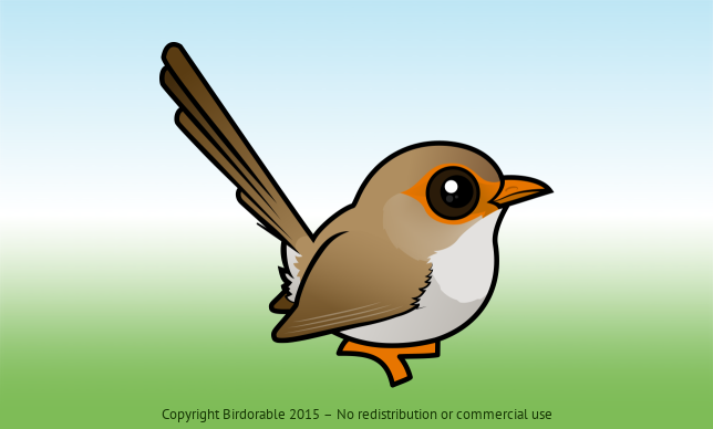 Birdorable Superb Fairywren Female
