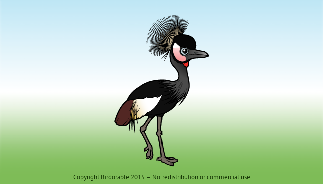 Birdorable Black Crowned-Crane 