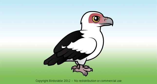 Birdorable Palm-nut Vulture 