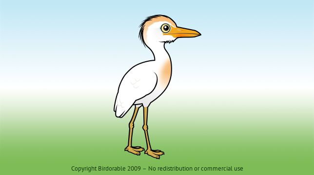 Birdorable Cattle Egret 