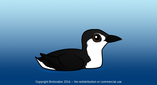 Birdorable Guadalupe Murrelet 