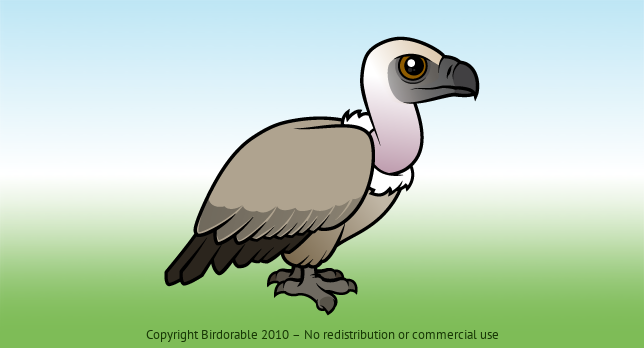 Birdorable Cape Vulture 