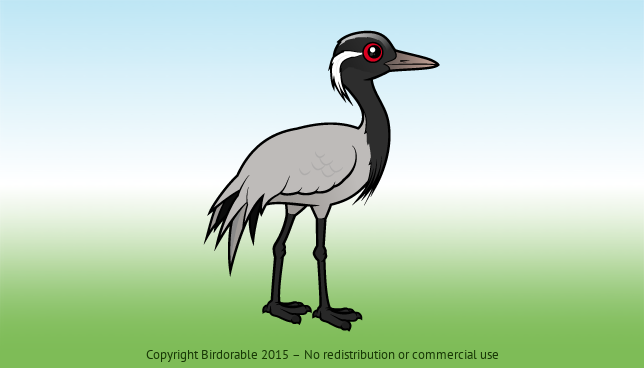 Birdorable Demoiselle Crane 