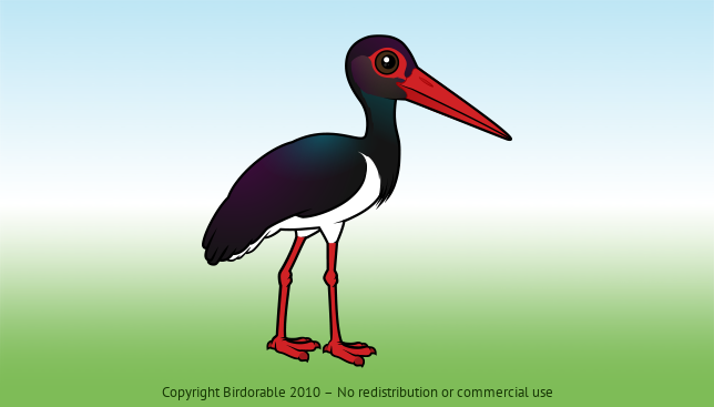 Birdorable Black Stork 