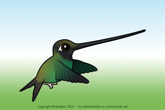 Birdorable Sword-billed Hummingbird In Flight