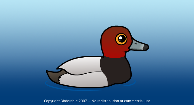 Birdorable Redhead 