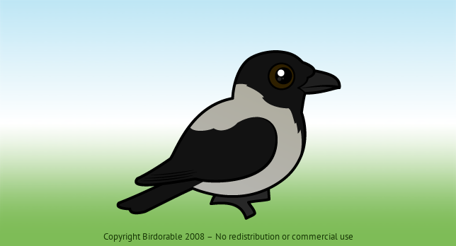 Birdorable Hooded Crow 
