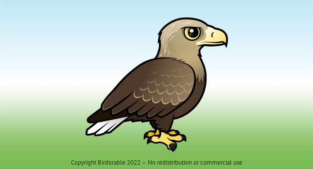 Birdorable White-tailed Eagle 