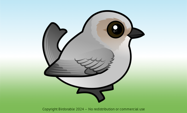 Birdorable Bushtit Interior