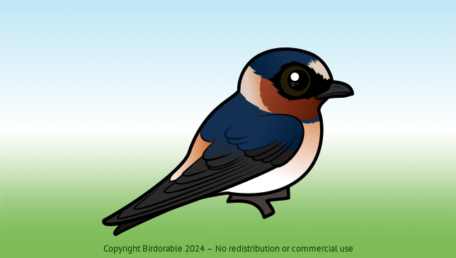 Birdorable Cliff Swallow 