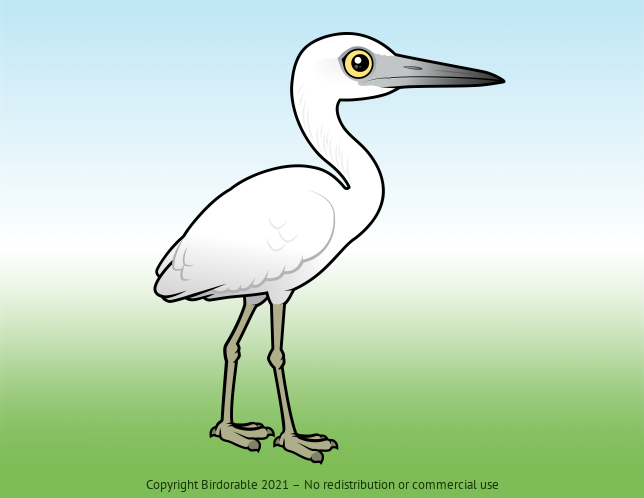 Birdorable Little Blue Heron Juvenile