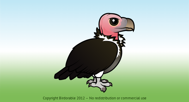 Birdorable Lappet-faced Vulture 