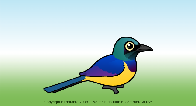 Birdorable Golden-breasted Starling 