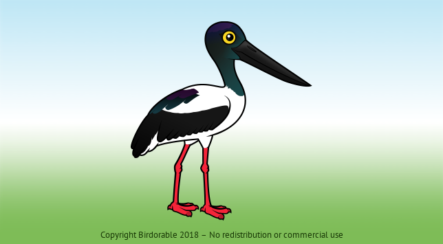 Birdorable Black-necked Stork 