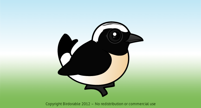 Birdorable Cyprus Wheatear 