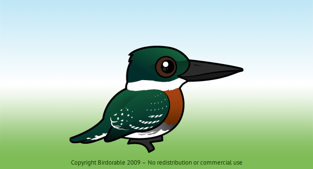 Birdorable Green Kingfisher 