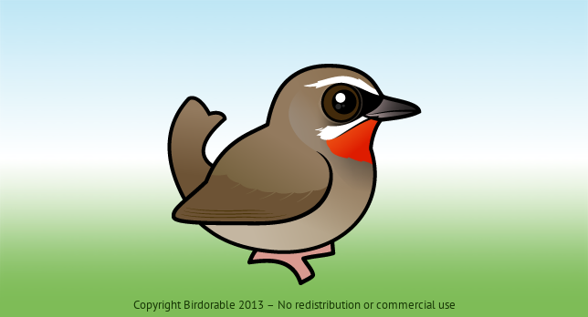 Birdorable Siberian Rubythroat 