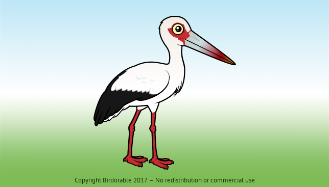 Birdorable Maguari Stork 