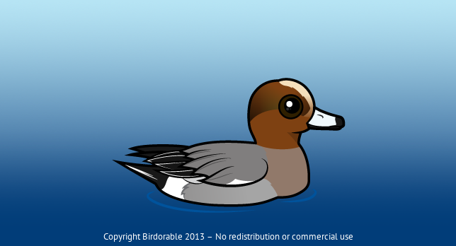Birdorable Eurasian Wigeon 