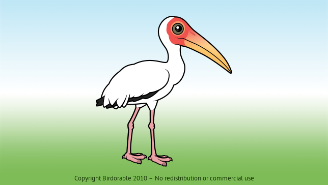 Birdorable Milky Stork 