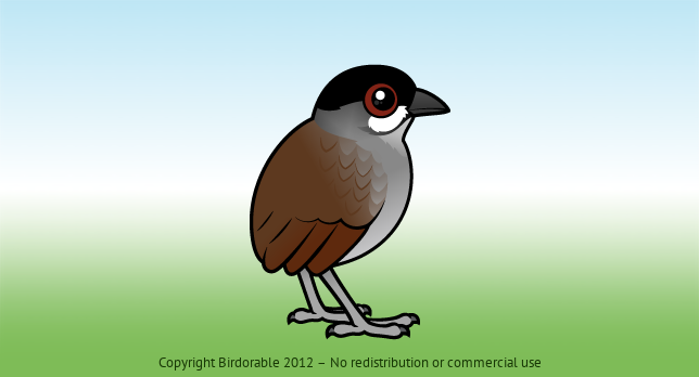 Birdorable Jocotoco Antpitta 