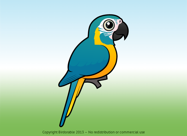 Birdorable Blue-throated Macaw 