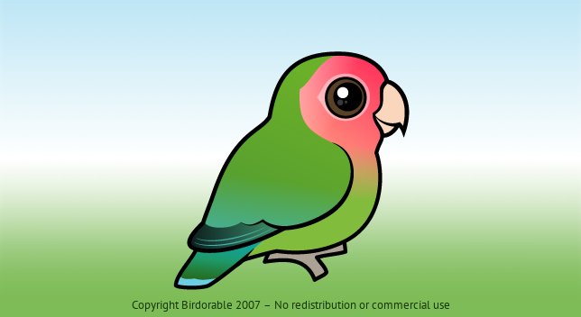 Birdorable Rosy-faced Lovebird 