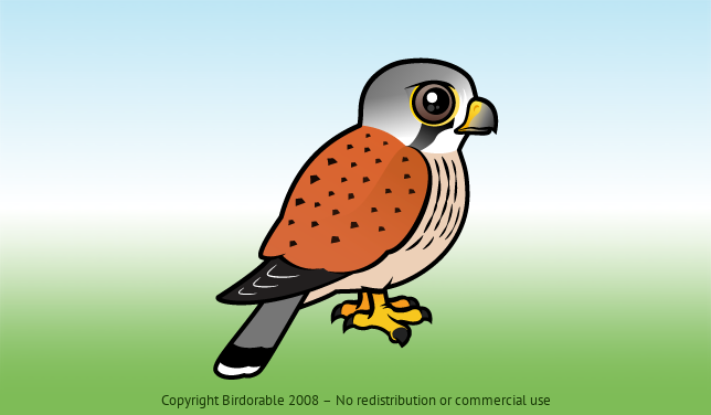 Birdorable Common Kestrel 