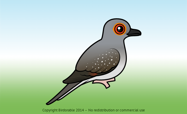 Birdorable Diamond Dove 
