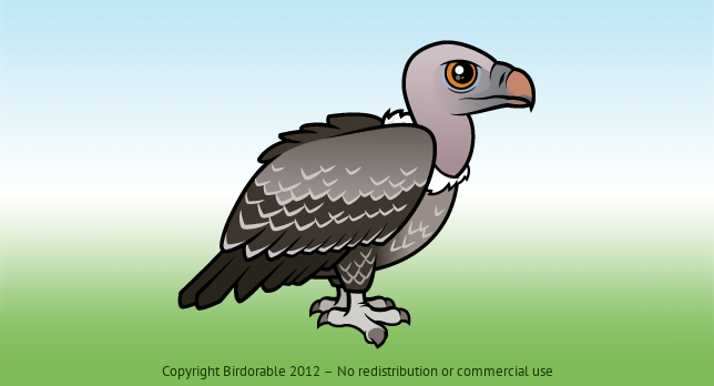 Birdorable Rueppell's Vulture 