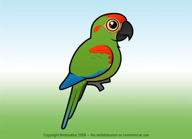 Birdorable Red-fronted Macaw 