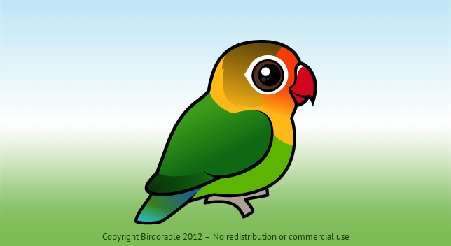 Birdorable Fischer's Lovebird 