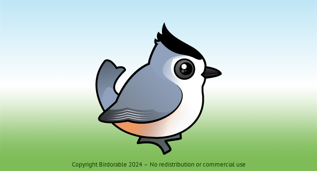 Birdorable Black-crested Titmouse 