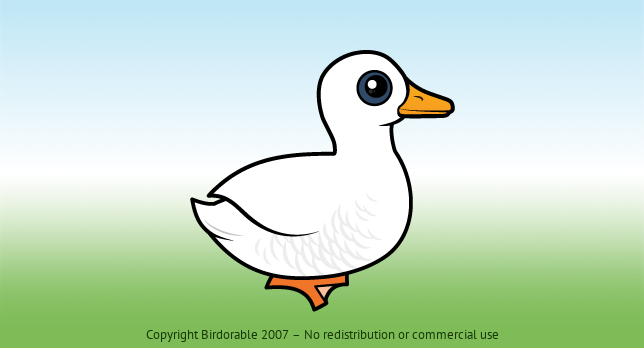 Birdorable Pekin Duck 