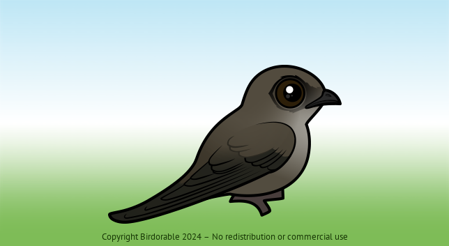 Birdorable Chimney Swift 