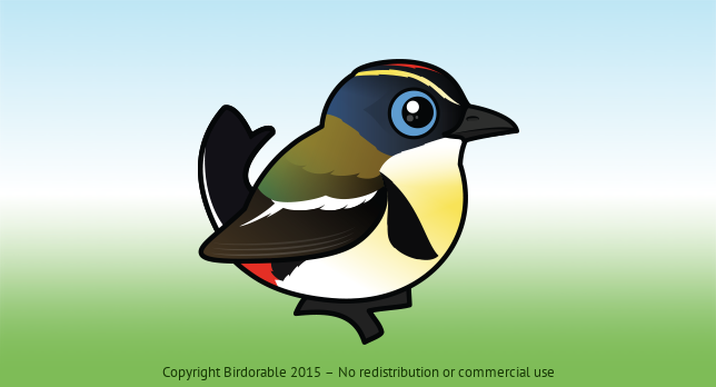 Birdorable Many-colored Rush Tyrant 