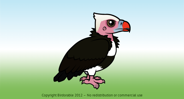 Birdorable White-headed Vulture 