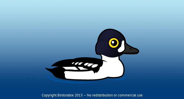 Birdorable Barrow's Goldeneye 