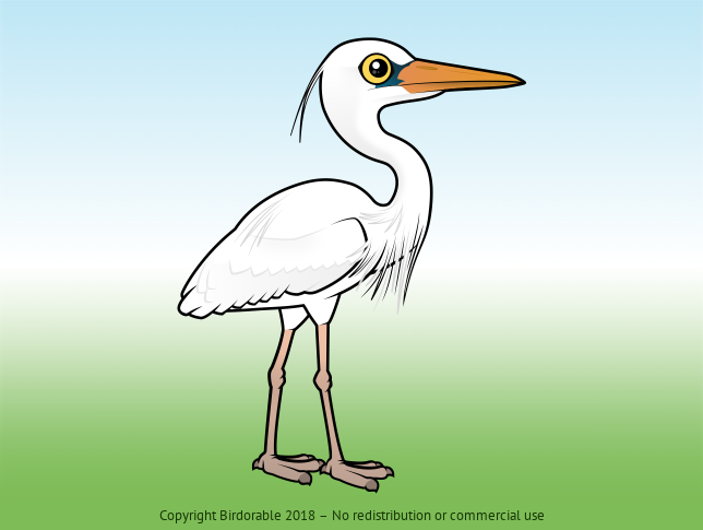 Birdorable Great Blue Heron White Morph