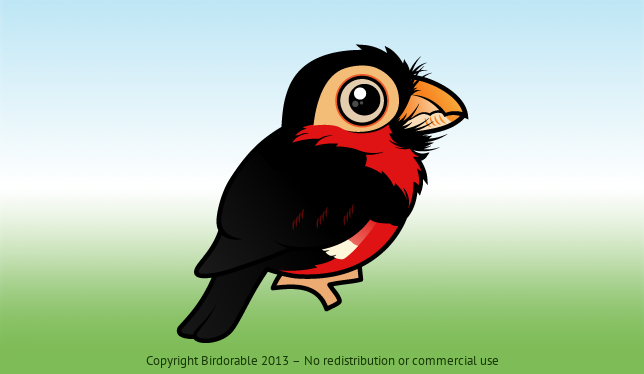 Birdorable Bearded Barbet 