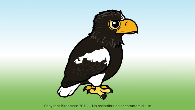 Birdorable Steller's Sea Eagle 