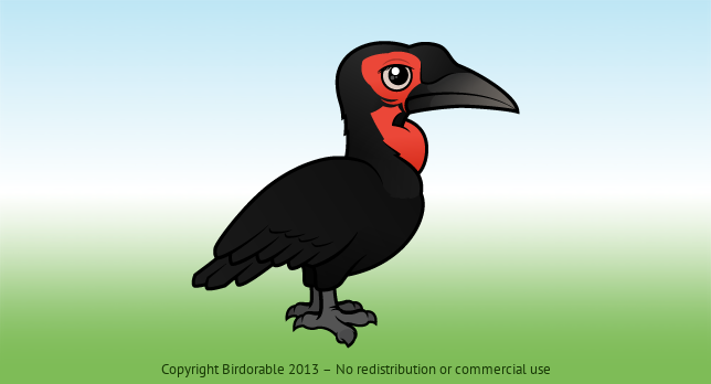 Birdorable Southern Ground Hornbill 