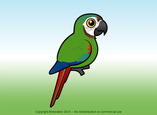 Birdorable Chestnut-fronted Macaw 